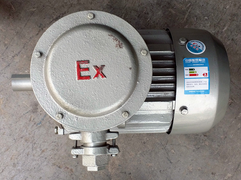 What Is the Difference Between Gas Explosion-Proof Motors and Dust Explosion-Proof Motors - Technical Specifications - 1
