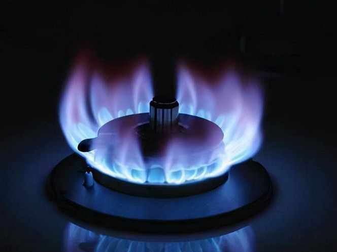 What Is the Temperature of Methane Combustion Flame - Performance Characteristics - 1