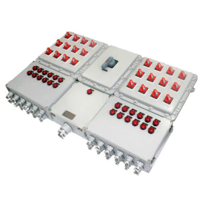 BX51 Dual Module
