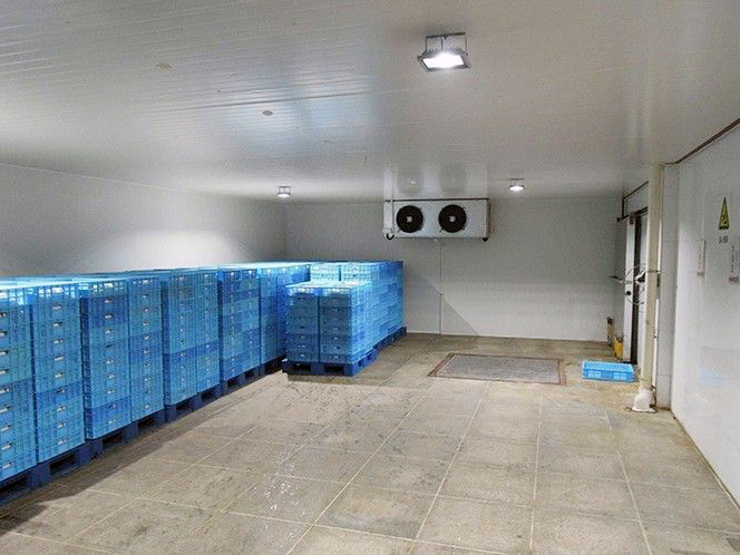 Use of LED Explosion-Proof Lights in Cold Storage